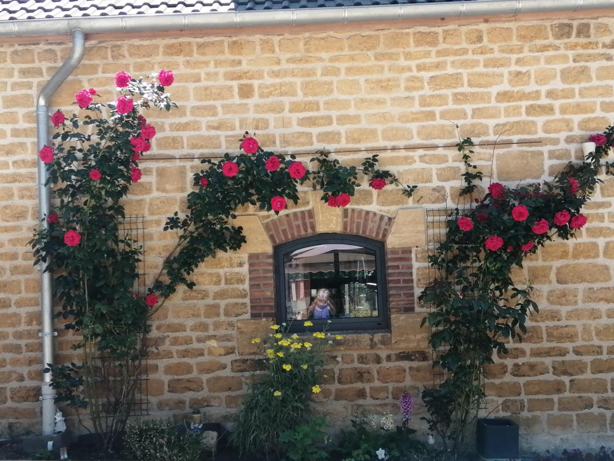 Ô jardin de boutancourt Vila Exterior foto