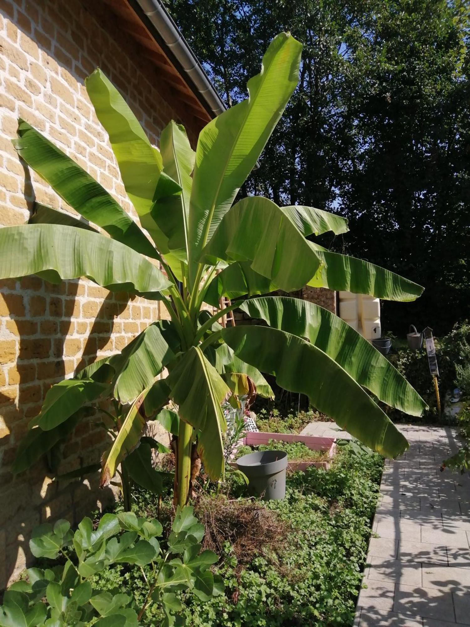 Ô jardin de boutancourt Vila Exterior foto