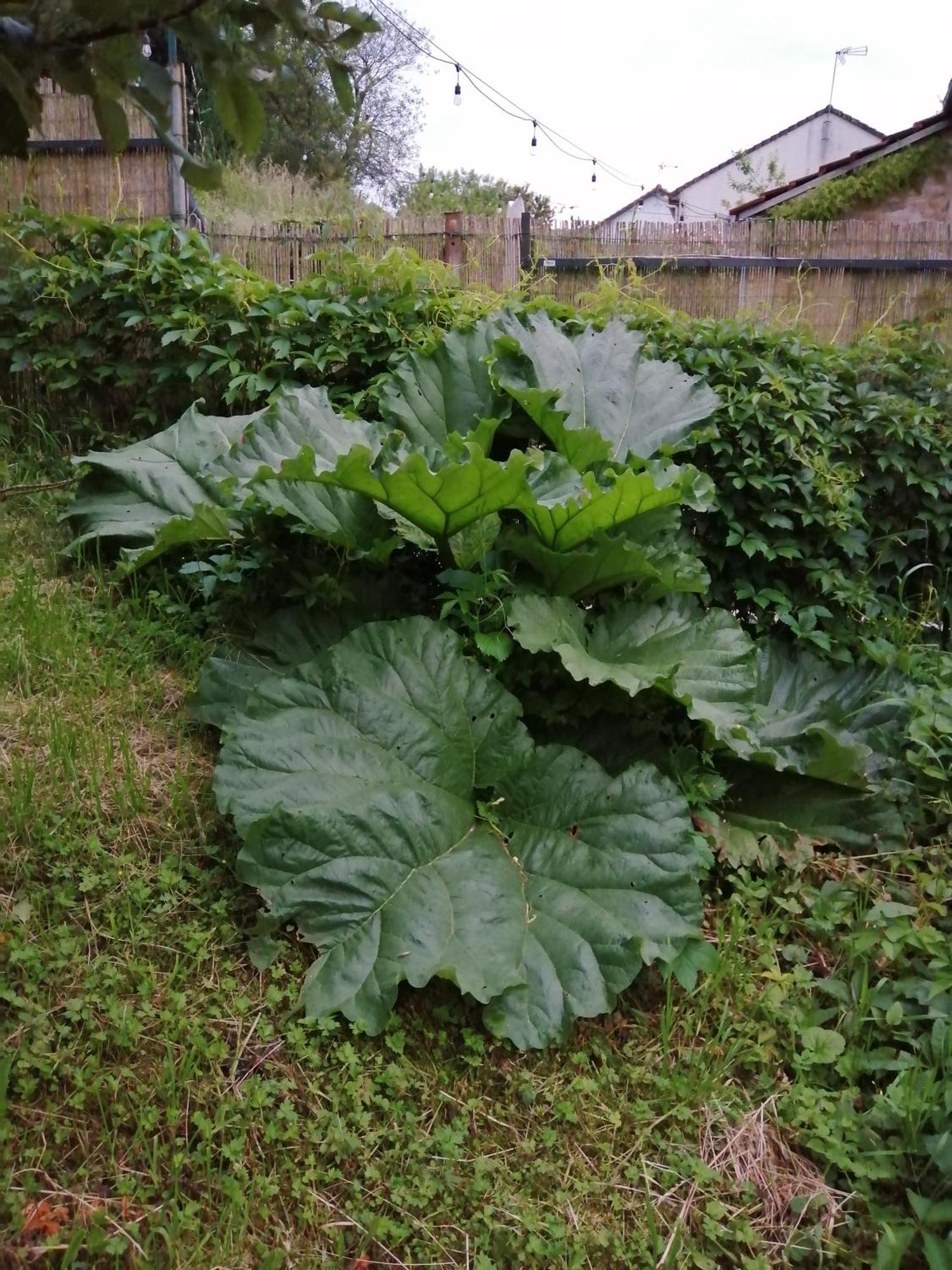 Ô jardin de boutancourt Vila Exterior foto